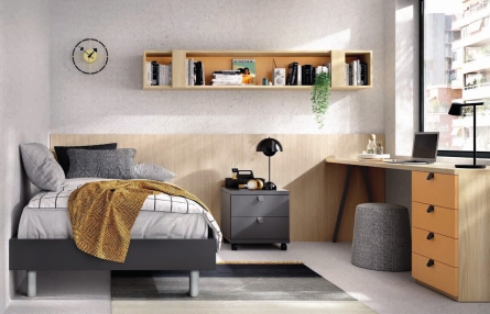 3.7 Novedad en Dormitorios Sénior